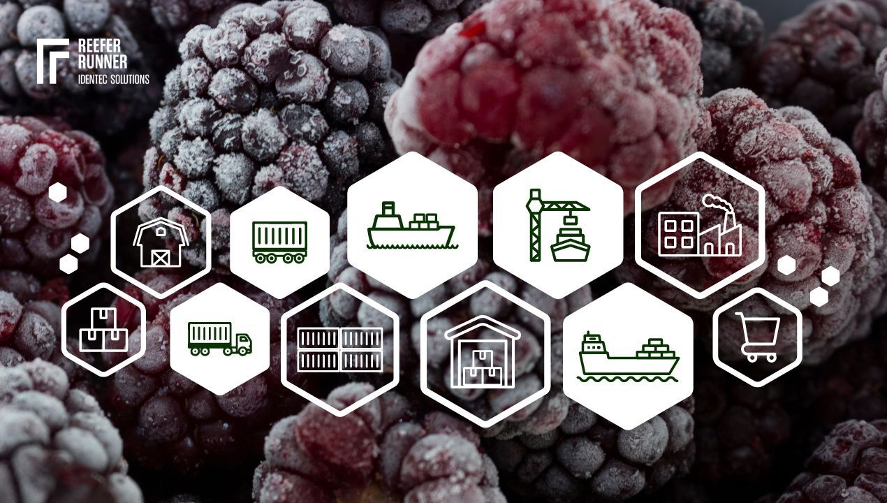 Cold Chain Process