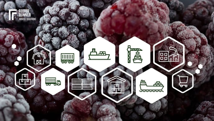 Cold Chain Process