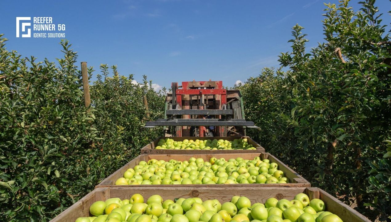 food waste reduction technologies