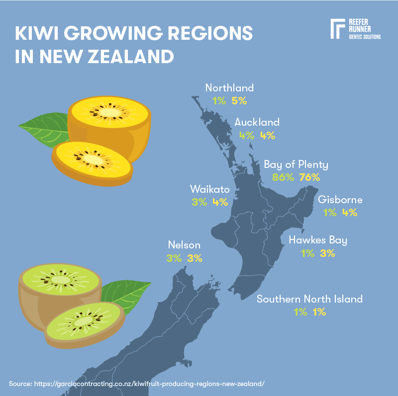 Kiwi_transport_2.png