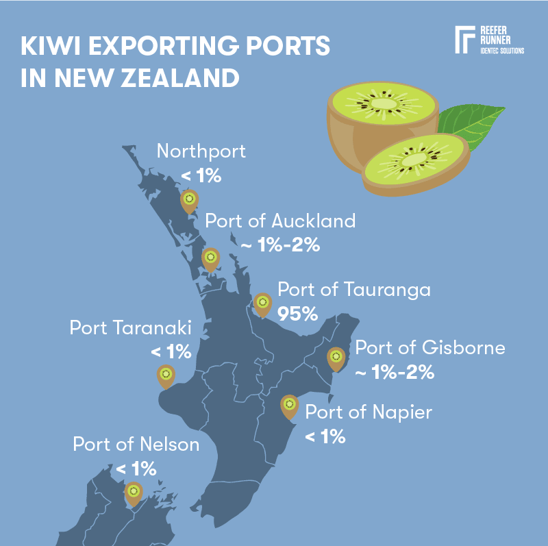Kiwi_transport_3.png