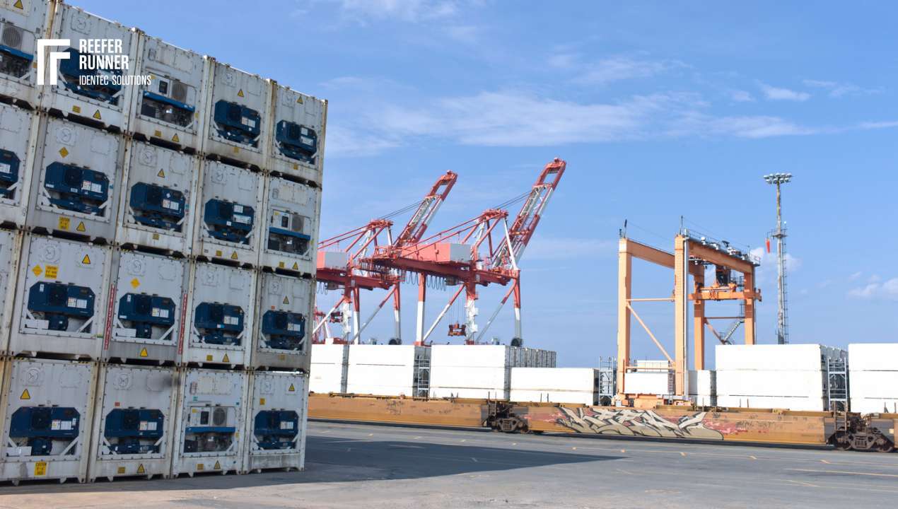 Port Logistics Refrigerated Services