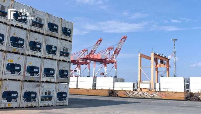 Port Logistics Refrigerated Services
