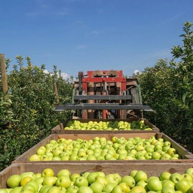 cold-chain-food-waste-reduction