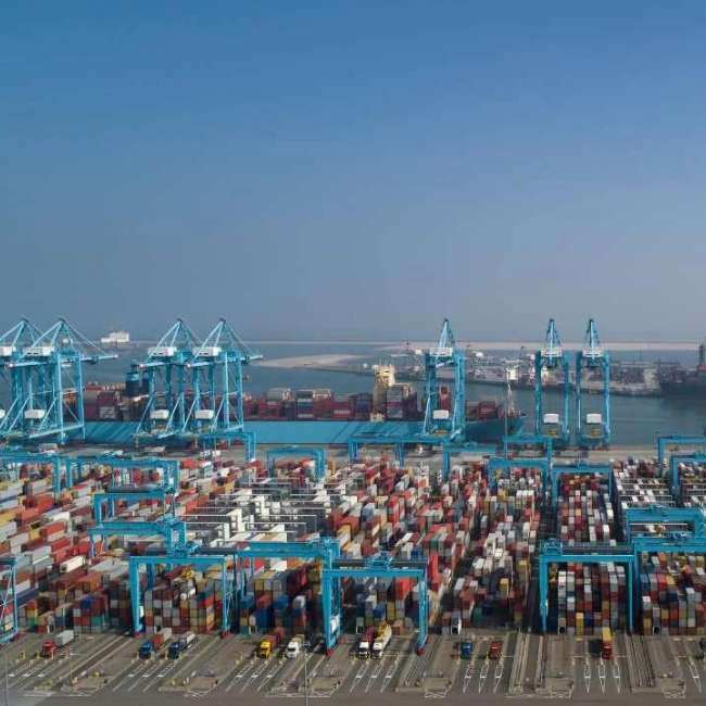 port-automation-trends