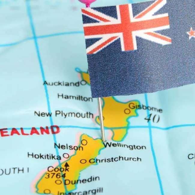 reefer-monitoring-whs-new-zealand