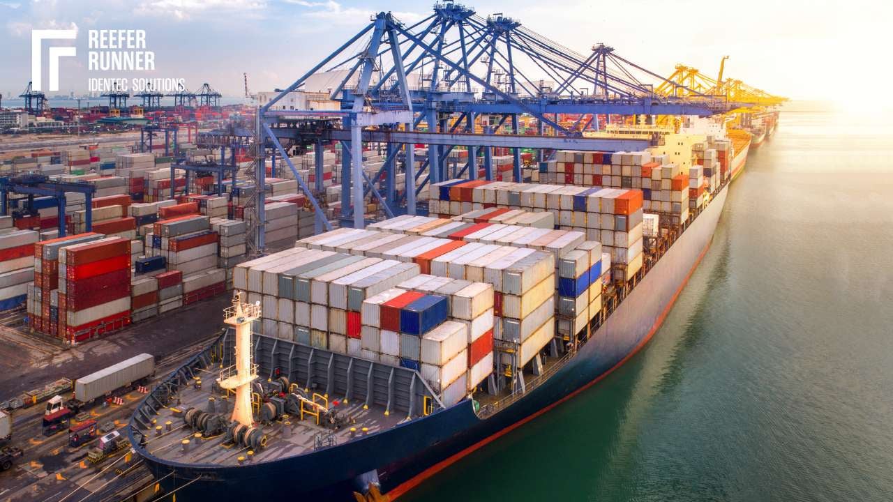Reefer Container Power Supply