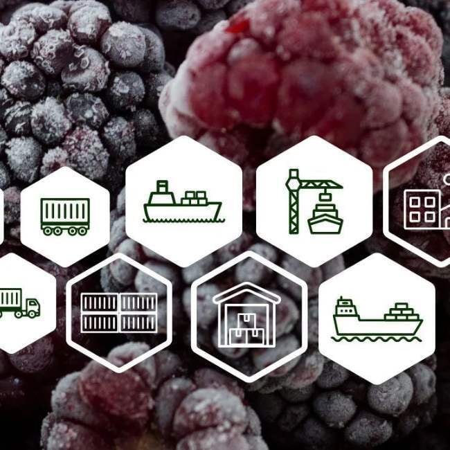refrigerated-containers-cold-chain-process