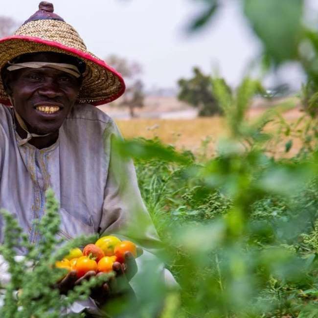 refrigerated-containers-cold-chain-shipment