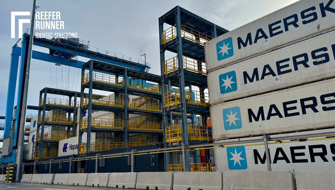 Rijeka Gateway features Reefer Runner