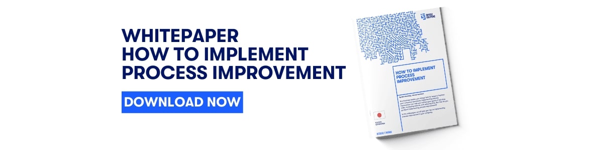 Whitepaper Implement Process Improvement