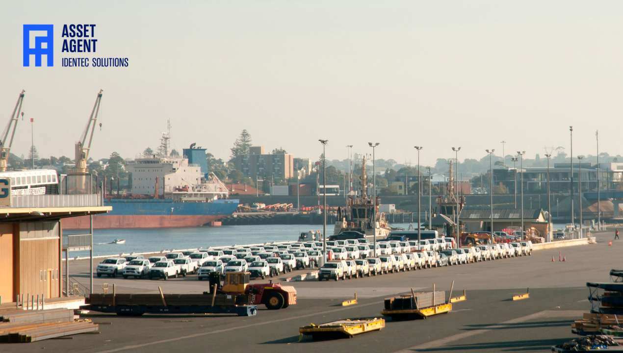 The car importer business: A logistic and regulatory challenge