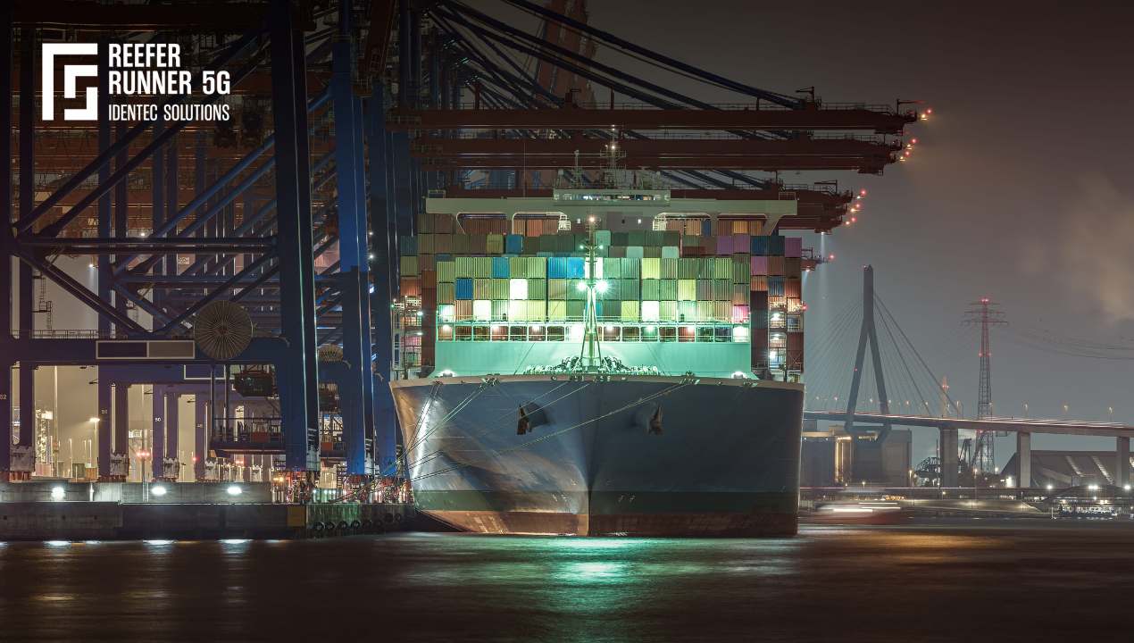 Cold Chain Container: Navigating the Frozen Highway